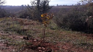 12309334_10208462155100670_1560480136_n