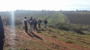 12319413_10208462155940691_1351161181_n