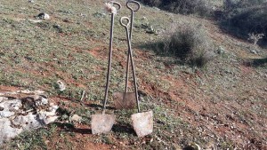 12325314_10208462154300650_1298055399_n