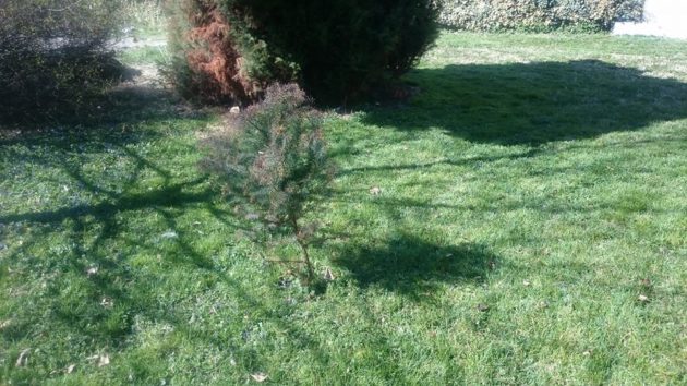 21 март – Ден на екологија и Светски ден на поезија