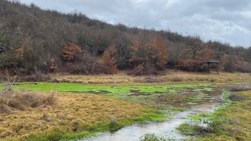 Посета на Белчишко блато како дел од активнотите на програмата „Младите важни за промени“