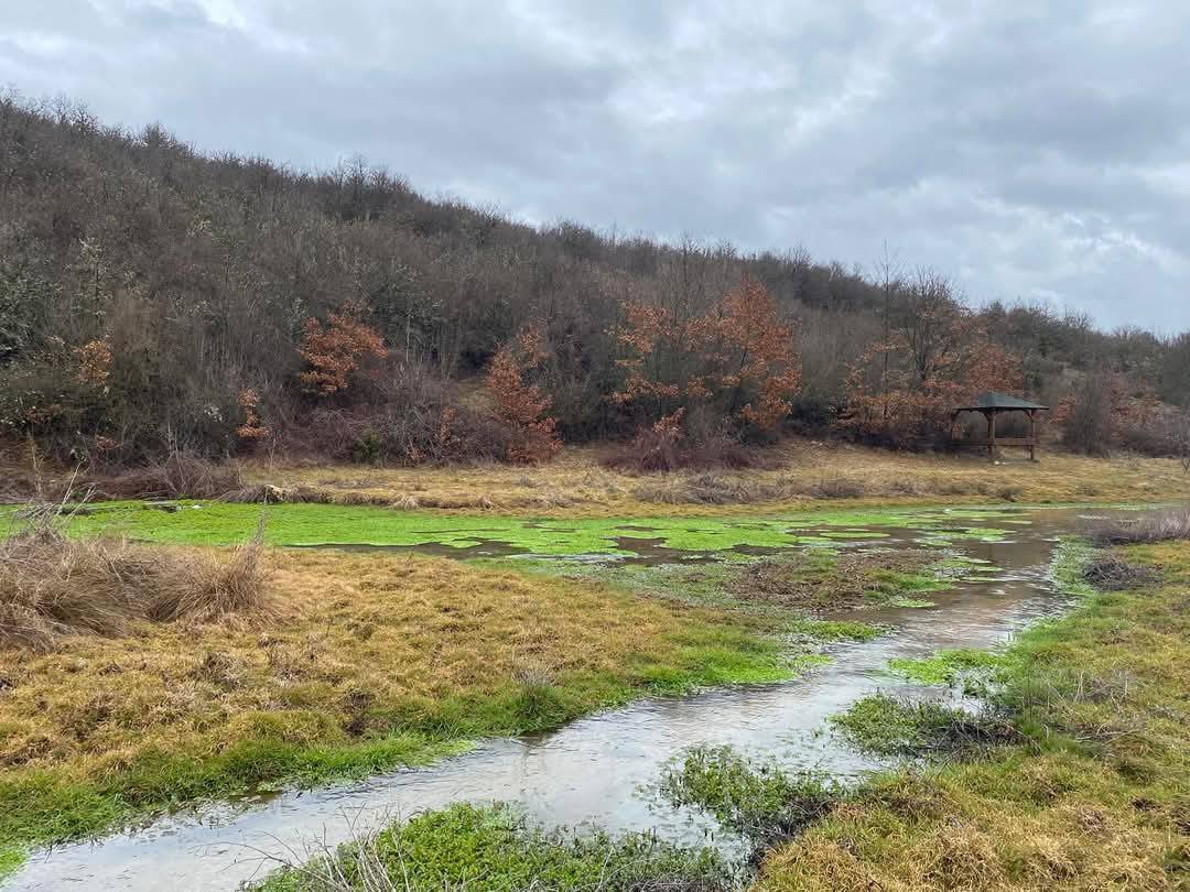 Посета на Белчишко блато како дел од активнотите на програмата „Младите важни за промени“